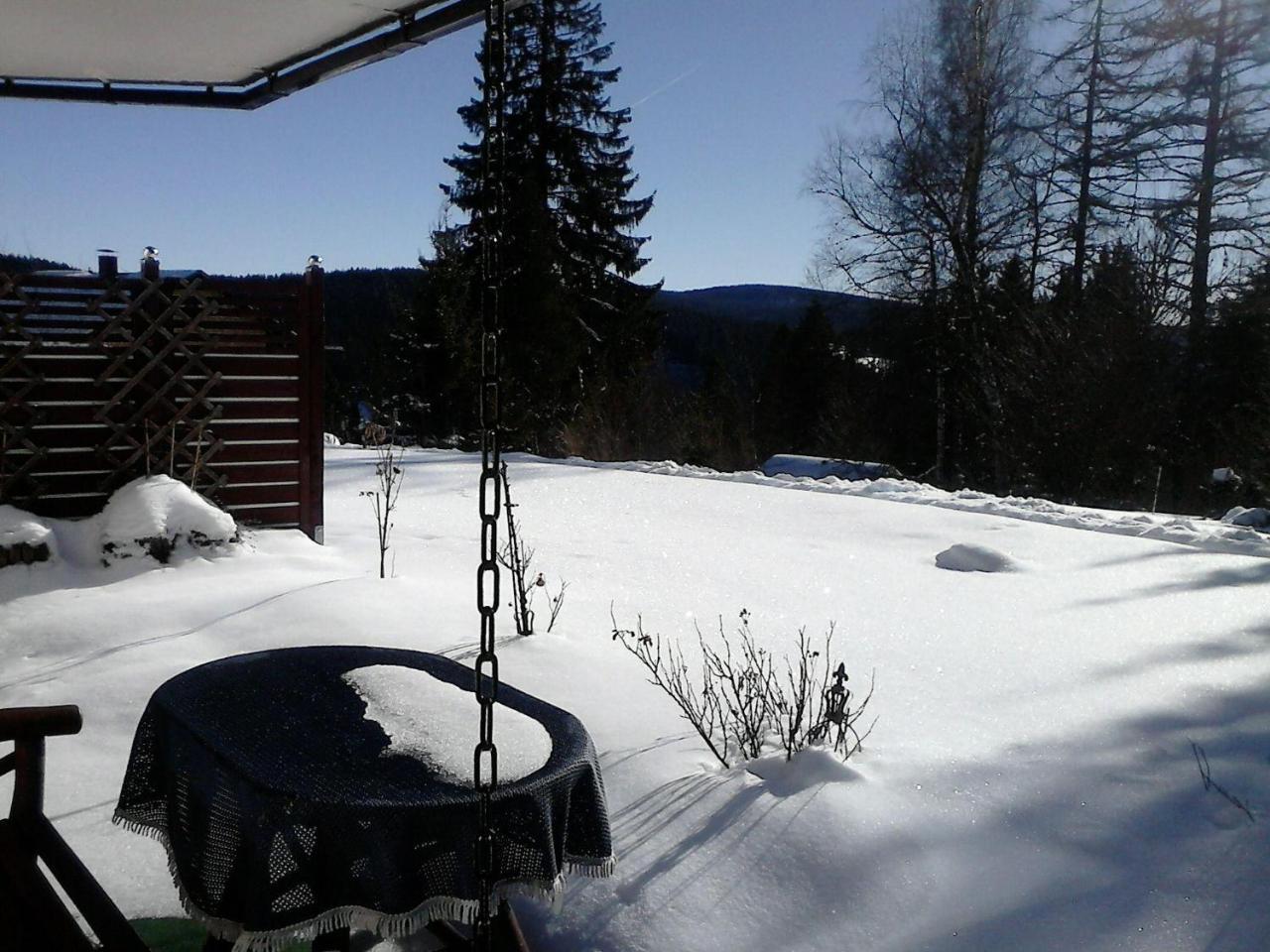 Sonnige-Waldruhe-Am-Skiberg Hotel Feldberg  Kültér fotó